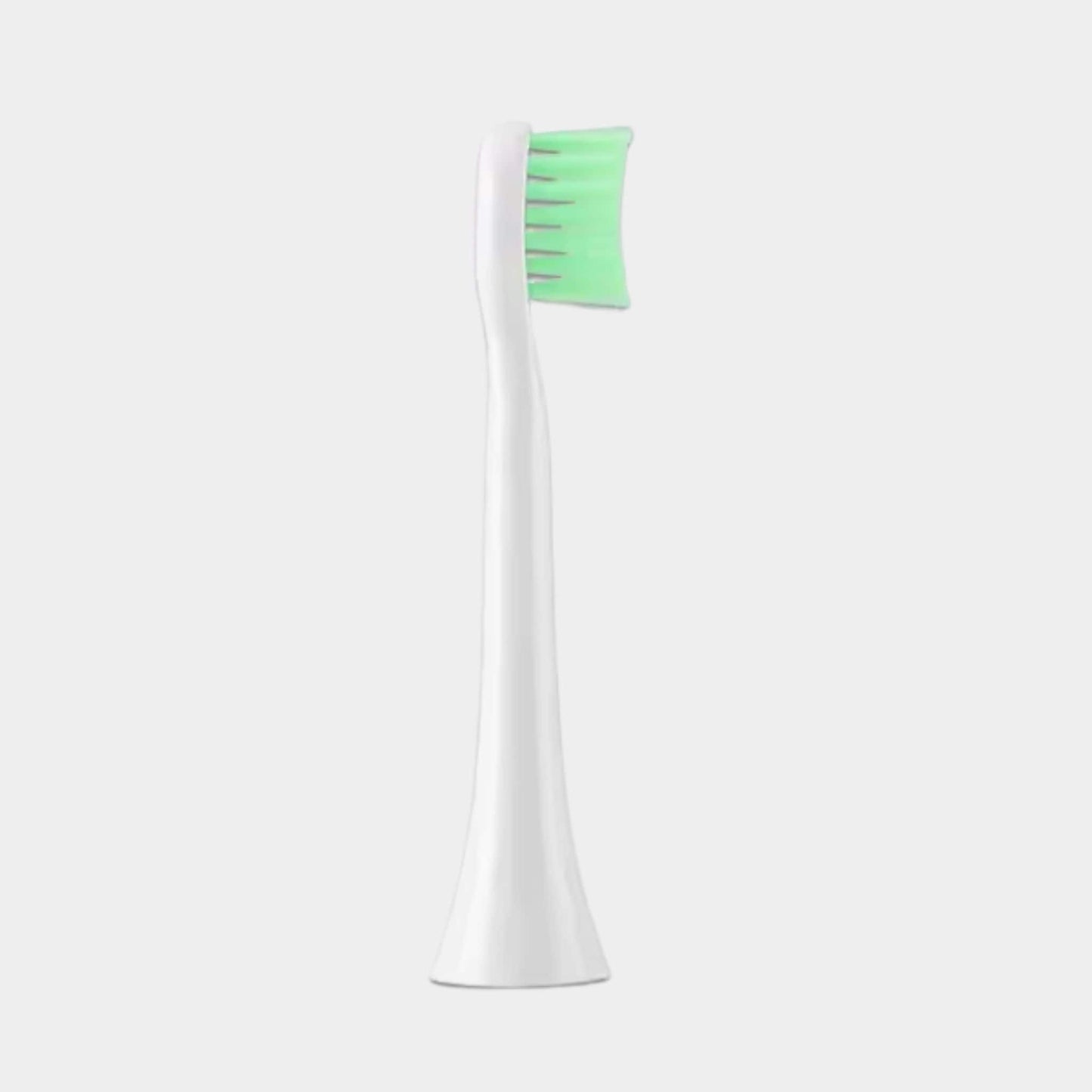 Free Gift: Brush Attachment